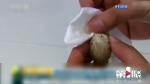 游摊上低价购买几十枚鸽子蛋 一验全是冒牌货 - 重庆晨网