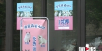 免费领养的小猫出了状况 消费者怀疑“被套路” - 重庆晨网