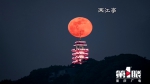 重庆这群“追月人” 带你寻找最佳赏月角度 - 重庆晨网