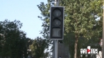 十字路口红绿灯倒地不起，接连几天车祸频发 - 重庆晨网