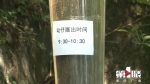 国庆去重庆动物园看小“芝麻汤圆”  这两个时间得记牢 - 重庆晨网