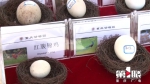 国庆去重庆动物园看小“芝麻汤圆”  这两个时间得记牢 - 重庆晨网