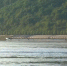 三峡库区蓄水进入最后3米冲刺阶段 - 重庆晨网