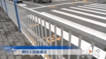 公路新装红绿灯 行人过街需“跨栏” - 重庆晨网