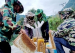 刘永邹与附近的村民在老家取蜂蜜。特约通讯员 李诗素 摄 - 重庆晨网