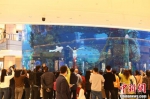 重庆一商场打造“海底世界”：美人鱼表演吸引顾客 - 重庆晨网