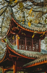 超多耍事！3条不同风格的主题游宝藏路线，带你秋日畅游重庆南岸 - 重庆晨网