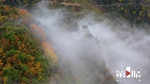 秋雾缭绕七里坪 山林尽染披彩装 - 重庆晨网