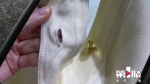 两万多元裙子疑被调包 洗衣店却称寄丢了 - 重庆晨网