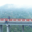 渝黔高速扩能工程最后一座大桥完成架设 年内全线有望建成通车 - 重庆晨网