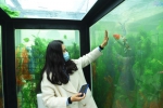 重庆一景区建“海洋厕所” ：如厕如走进海底世界 - 重庆晨网