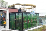 重庆一景区建“海洋厕所” ：如厕如走进海底世界 - 重庆晨网