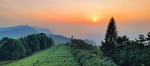夕阳下的古佛山 美成一幅油画 - 重庆晨网