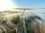 平流雾绕蔡家嘉陵江大桥，“仙”气十足 - 重庆晨网