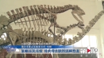 川渝联合开展恐龙研究 市民有望看到“活”恐龙 - 重庆晨网