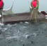 冬捕第一网单尾最大87斤 重庆市水库生态养鱼喜获丰收 - 重庆晨网