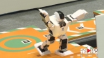 巅峰对决！这场机器人界的“奥运会”在渝举行 - 重庆晨网