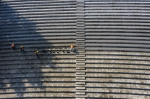 全方位还原当年风貌 大田湾体育场明年10月前完工 - 重庆晨网