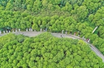“城市绿肺”更清新：“四山”区域内完成森林抚育32万亩 - 重庆晨网