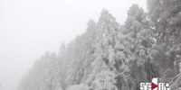 约吗？黔江高山今冬第一场雪 - 重庆晨网