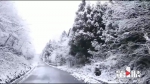 奉节茅草坝再迎降雪 “童话世界”美轮美奂 - 重庆晨网