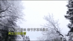 奉节茅草坝再迎降雪 “童话世界”美轮美奂 - 重庆晨网
