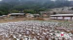 梁平迎今冬首场降雪 银装素裹美景如画 - 重庆晨网