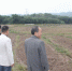 指导农机深松作业1 - 农业机械化信息