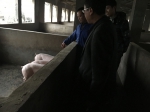 垫江动监所赴普顺镇督导动物疫病防控工作 - 农业厅