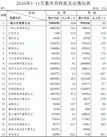 前11月重庆一般公共预算收入增长8.7% - 财政厅