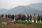 渝北区：农委赴涪陵区榨菜生产全程机械化示范基地考察学习 - 农业机械化信息