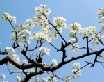 http://mmbiz.qpic.cn/mmbiz_jpg/Gbhzhz4iaqPI9j5spbZH9bBvbjDBBRDn55R0I6ECQ1XWbCZGwGhRDiaz4J5IqnCWNibNTiaDITpsbB1ZzAoOG1QsOg/640?.jpg - 新华网