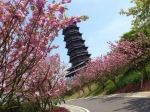 http://mmbiz.qpic.cn/mmbiz_jpg/Gbhzhz4iaqPI9j5spbZH9bBvbjDBBRDn5f3caIyFT6xtVdJrvW4wXEzX68MbIsrricWXeV8nWLMMZWhRrf7NFkNA/640?.jpg - 新华网