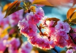 http://mmbiz.qpic.cn/mmbiz_jpg/Gbhzhz4iaqPI9j5spbZH9bBvbjDBBRDn5ic5NjvYPEpuZdeNyiba07KLhTLEQwWDsl1tHKMqnUAO8I8kWoyP7LYicQ/640?.jpg - 新华网