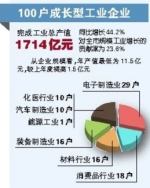 重庆市确定2017年100户重点工业企业 - 人民政府