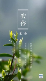 今日22时17分清明 | 梨花起，杨柳绿，踏青正当时 - 重庆晨网