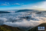 巫山进入四月云雨最佳观赏期 白云缭绕群山之间 - 重庆晨网