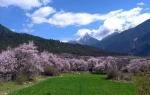 川航开飞重庆至林芝、红原航班 - 重庆晨网