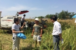潼南区：开展机播油菜测产工作 - 农业机械化信息