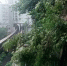 23dde3818ca45a0172da3b1640ff7e4f.jpg - 重庆晨网