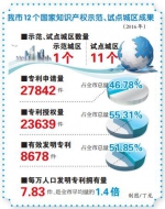 到2020年 重庆力争建成8个国家知识产权示范城区 - 重庆晨网