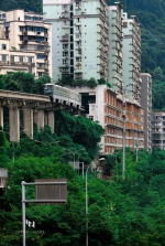 山外是山 城上有城｜这才是真正的重庆森林！ - 重庆晨网