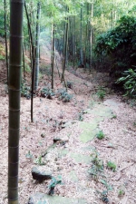 永川发现“神秘”古盐栈道！有300多年历史 - 重庆晨网