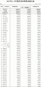 重庆市财政局发布前三季度财政预算执行情况 - 财政厅