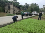 实地查看油菜长势情况 - 农业厅