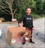 大足区林业局救助一只受伤猴面鹰 - 林业厅