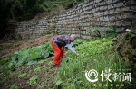 重庆珍档丨哭歌作伴，“东阳哭歌”最后一位传承人 - 重庆晨网