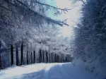 入冬迎来第一场雪！重庆这些地方适合滑雪赏雪，存下也许很快会用到哦 - 重庆晨网