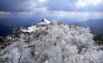 入冬迎来第一场雪！重庆这些地方适合滑雪赏雪，存下也许很快会用到哦 - 重庆晨网