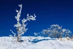 重庆人看过来！你预约的2018年第一场雪已经在路上了 - 重庆晨网